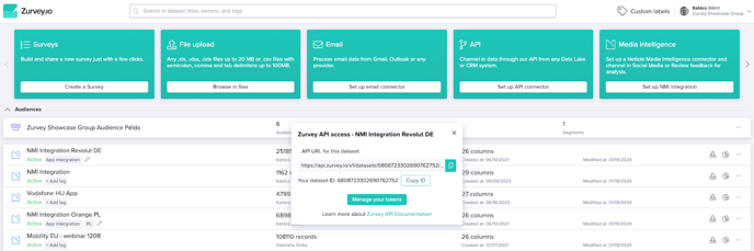 zurvey outbound api 02