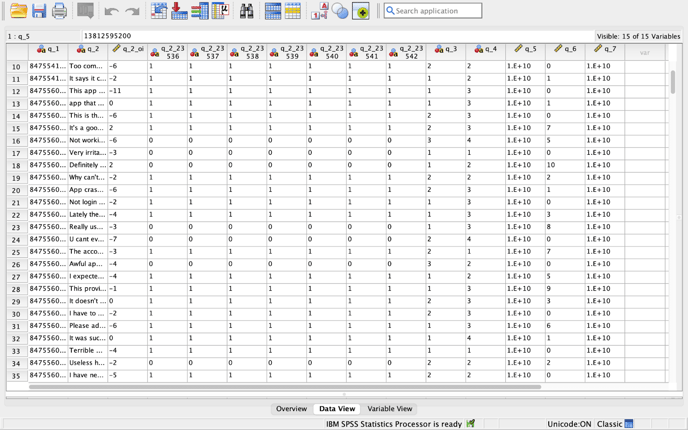 zurvey spss dataset output 2