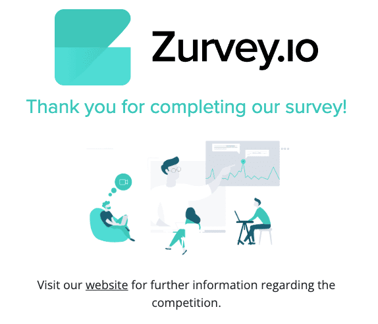 zurvey survey elements 04